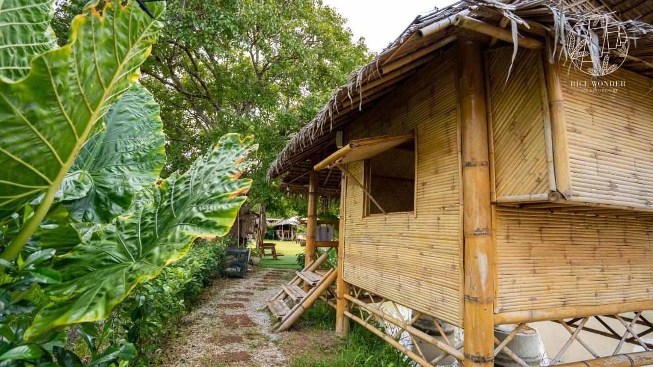 Rice Wonder Cafe & Eco Resort ระยอง ภายนอก รูปภาพ